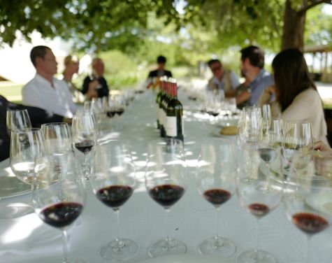 Adults sitting at a table in a winery, both geners present along with a row of bottles extending down the table