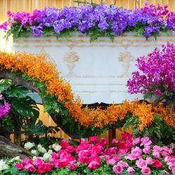 An Overview of Funeral Customs in Major Religions