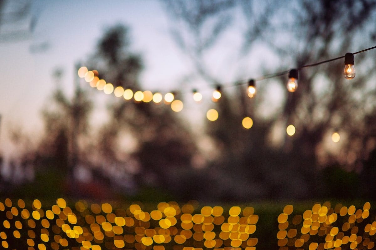 Some lights hanging outdoors with trees in the background