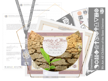 Playa Wedding Bundle