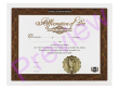 Certificate of Love Affirmation 1 Certificate