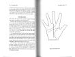 Palm Reading for Beginners
