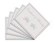 Pearly Dove Marriage Certificate 5 Pack