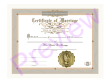 ULC Certificate of Marriage 1 Certificate