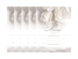 White Rose Marriage Certificate 5 Pack - $15.99