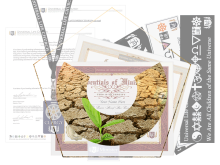 Playa Wedding Bundle